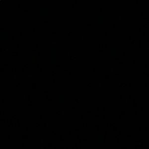 Meet your Posher, Gabrielle